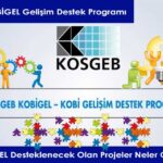 KOSGEB - KOBİGEL Gelişim Destek Programı