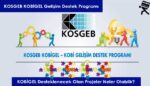 KOSGEB – KOBİGEL Gelişim Destek Programı Sonuçları Sorgulama